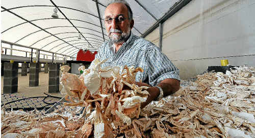 Coral Coast Mariculture director Dr Clive Keenan has been forced to sell his Littabella Creek aquaculture business after being drowned in red tape. Coral Coast Mariculture director Dr Clive Keenan has been forced to sell his Littabella Creek aquaculture business after being drowned in red tape.