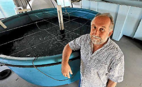 Dr Clive Keenan says Bundaberg is missing out on the windfall of an aquaculture industry because of a lack of government support. Dr Clive Keenan says Bundaberg is missing out on the windfall of an aquaculture industry because of a lack of government support.