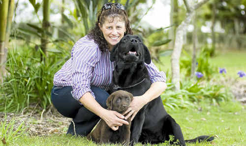Labrador breeder Carole Olive, with puppy Cookie and Chester, says puppy farms should have to meet registered breeders’ guidelines. Labrador breeder Carole Olive, with puppy Cookie and Chester, says puppy farms should have to meet registered breeders’ guidelines.
