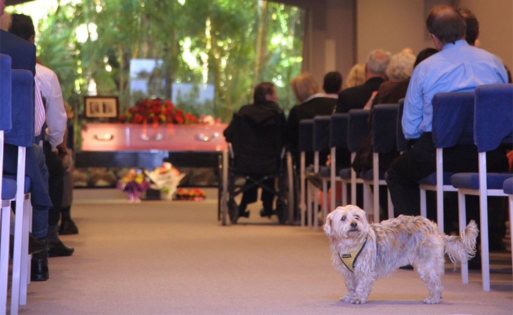Violet Barben's beloved dog Honey at her funeral on Monday. Violet Barben's beloved dog Honey at her funeral on Monday.