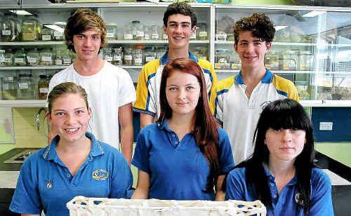 WHIZ KIDS: Mullumbimby High School’s outstanding science students. WHIZ KIDS: Mullumbimby High School’s outstanding science students.