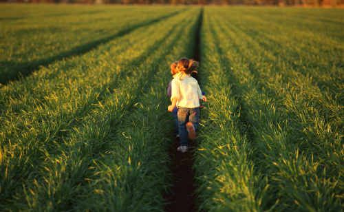 The GTAG say their children make up the bulk of the Orion, Gindie, Springsure and Rolleston Schools. The farmers have launched a local awareness campaign. The GTAG say their children make up the bulk of the Orion, Gindie, Springsure and Rolleston Schools. The farmers have launched a local awareness campaign.