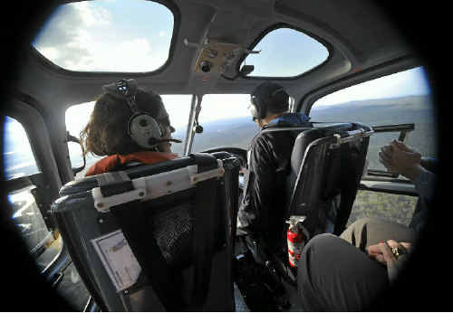 Environment Minister Vicky Darling is taken to see the Little Sea Hill Lighthouse on North Curtis Island. Environment Minister Vicky Darling is taken to see the Little Sea Hill Lighthouse on North Curtis Island.
