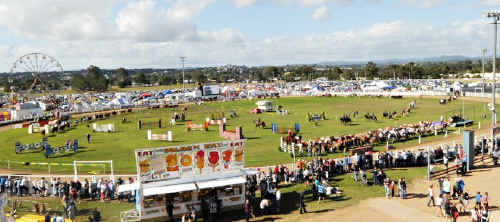 The viability of the Gympie Show could be threatened if the Ipswich Show moves to the same dates in May. The viability of the Gympie Show could be threatened if the Ipswich Show moves to the same dates in May.