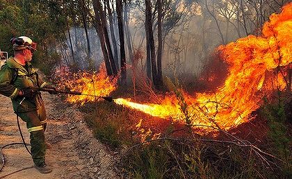 A wet summer has left Queensland with a higher fuel load and possibly greater fire hazard as the weather warms up again.
A wet summer has left Queensland with a higher fuel load and possibly greater fire hazard as the weather warms up again.