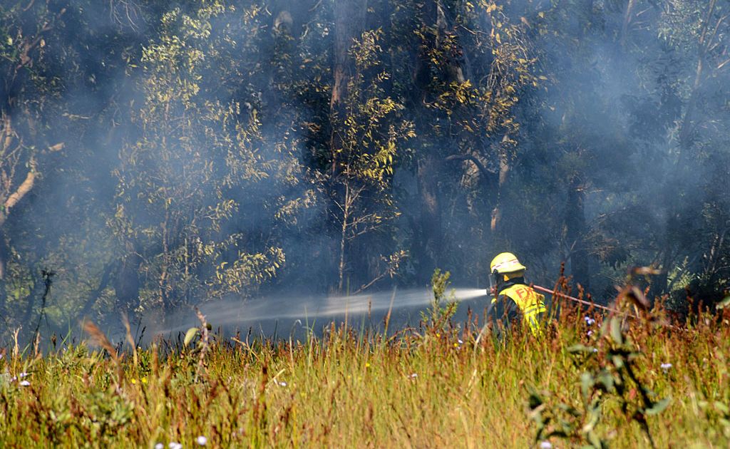 Firefighters were called to a grass fire at Toormina today. Firefighters were called to a grass fire at Toormina today.