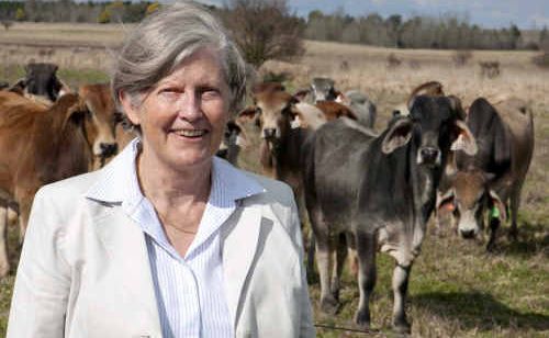 Beef CRC’s Dr Heather Burrow fears for the future of beef genetics research after its failure to win government funds. Beef CRC’s Dr Heather Burrow fears for the future of beef genetics research after its failure to win government funds.