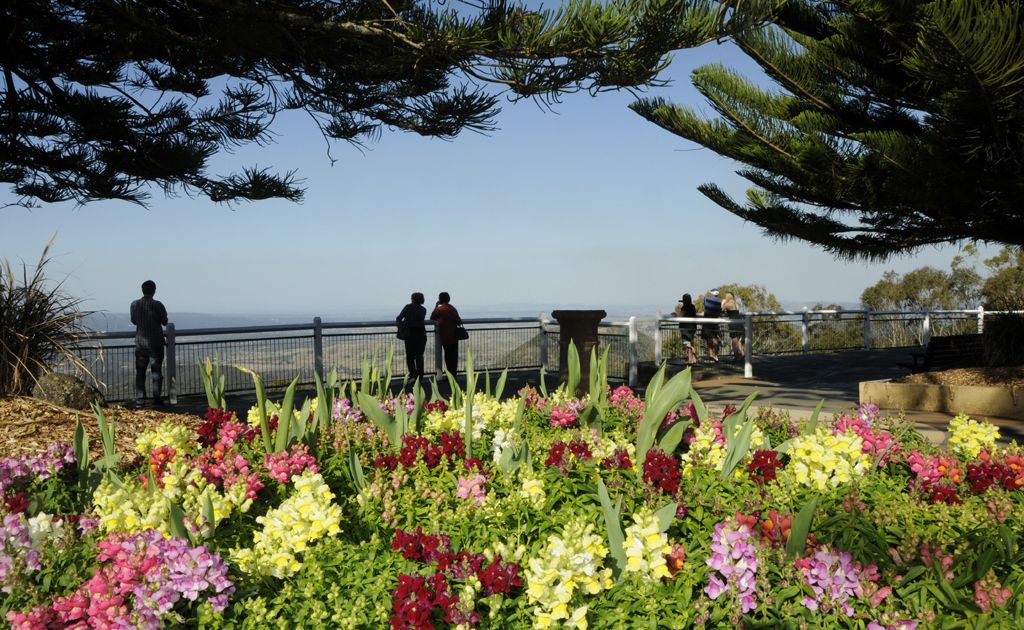 The parks and gardens of Picnic Point. The parks and gardens of Picnic Point.