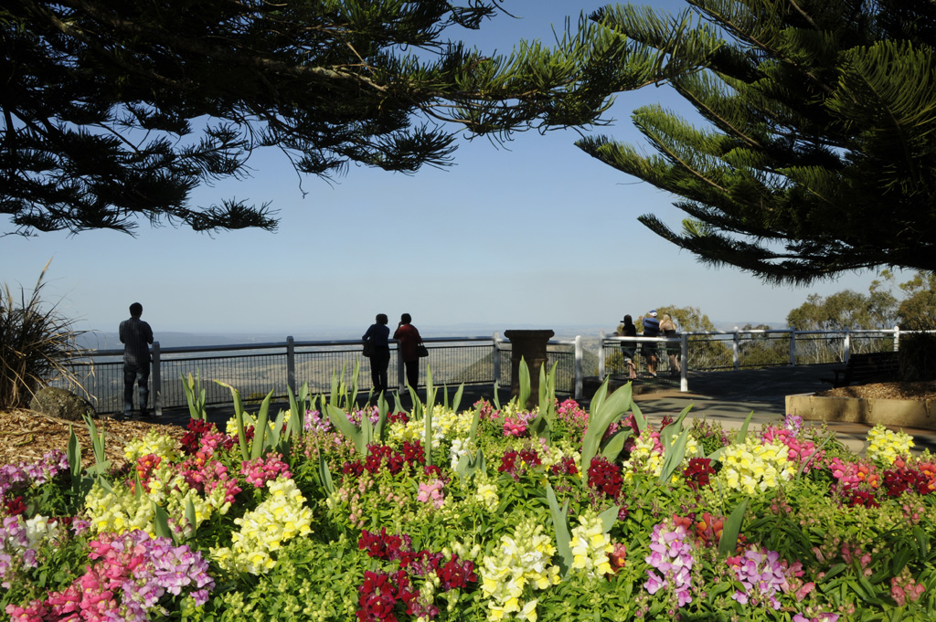 The parks and gardens of Picnic Point. The parks and gardens of Picnic Point.