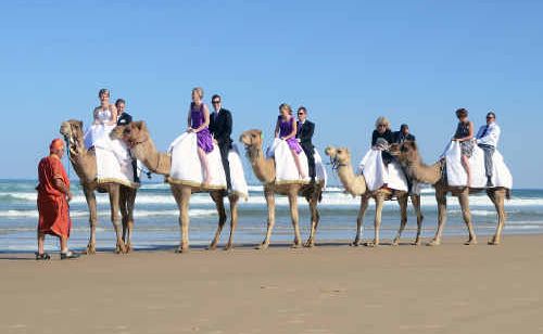 Bride Cyra Croft and groom Ben de Silva with their bridal party and parents riding along Boambee Beach to their wedding reception at the Deep Sea Fishing Club. Bride Cyra Croft and groom Ben de Silva with their bridal party and parents riding along Boambee Beach to their wedding reception at the Deep Sea Fishing Club.