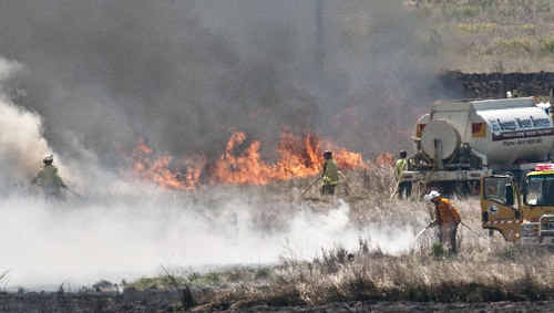 Urban and rural firefighters work to control a blaze on a Westbrook-Wyreema Rd property yesterday. Urban and rural firefighters work to control a blaze on a Westbrook-Wyreema Rd property yesterday.