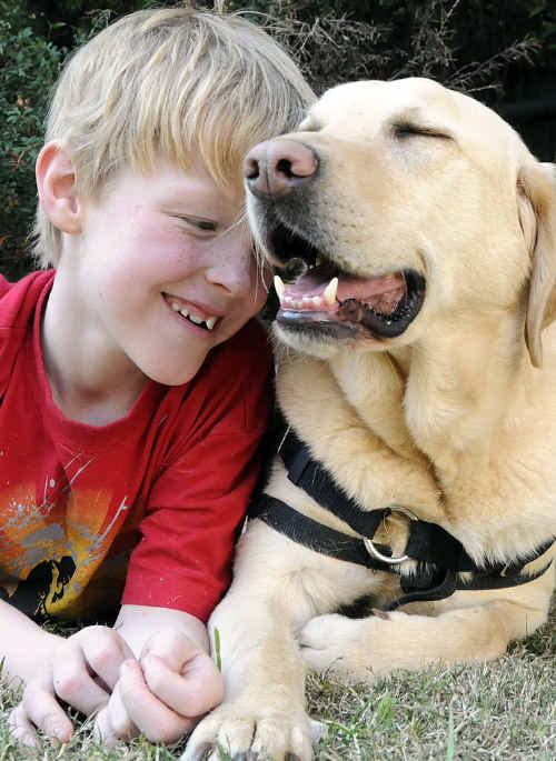 Jordan Schuh and his autism-assistance dog Axle will be heading to school together next term. Jordan Schuh and his autism-assistance dog Axle will be heading to school together next term.