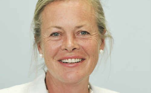 Fiona Leviny is to seek pre-selection for the seat of Clarence for the National Party. Fiona Leviny is to seek pre-selection for the seat of Clarence for the National Party.