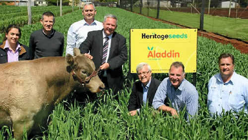 Ajax’s handler (from left) Ashley Horne, Heritage Seeds’ Roger Boyce and Peter Young, Minister Tim Mulherin and DEEDI’s John Chapman, Bruce Turner and Bruce Winter at the launch last week. Ajax’s handler (from left) Ashley Horne, Heritage Seeds’ Roger Boyce and Peter Young, Minister Tim Mulherin and DEEDI’s John Chapman, Bruce Turner and Bruce Winter at the launch last week.