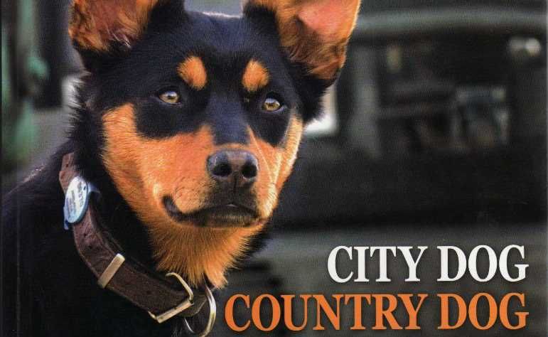 City Dog Country Dog compares pampered city pooches and faithful farm dogs. City Dog Country Dog compares pampered city pooches and faithful farm dogs.
