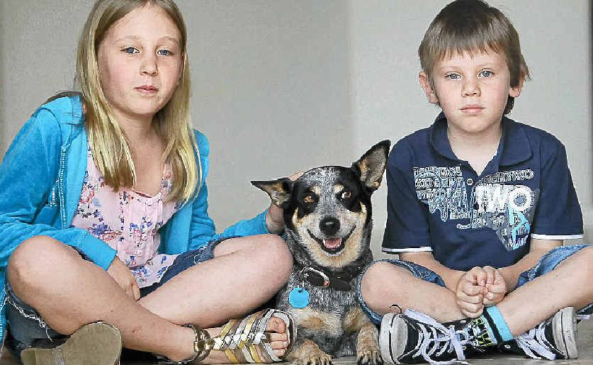 Stubby with Kayla, 7, and Travis Moore, 5, after being poisoned. Stubby with Kayla, 7, and Travis Moore, 5, after being poisoned.