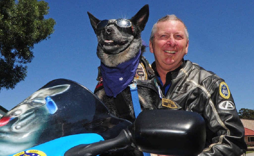 Tex and Bundy travel the country raising $450,000 annually for charity. Tex and Bundy travel the country raising $450,000 annually for charity.
