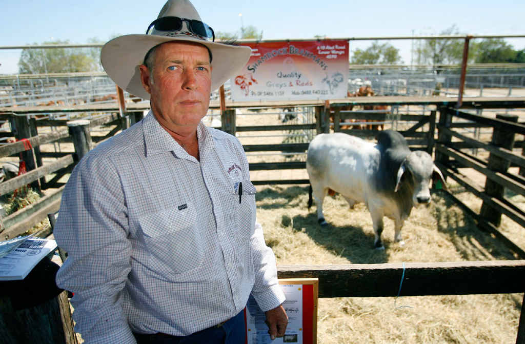 David Owen from Shamrock Brahmans, Gympie, with one of three bulls he and his partner Glenda Jackson presented for sale at Gracemere yesterday.
