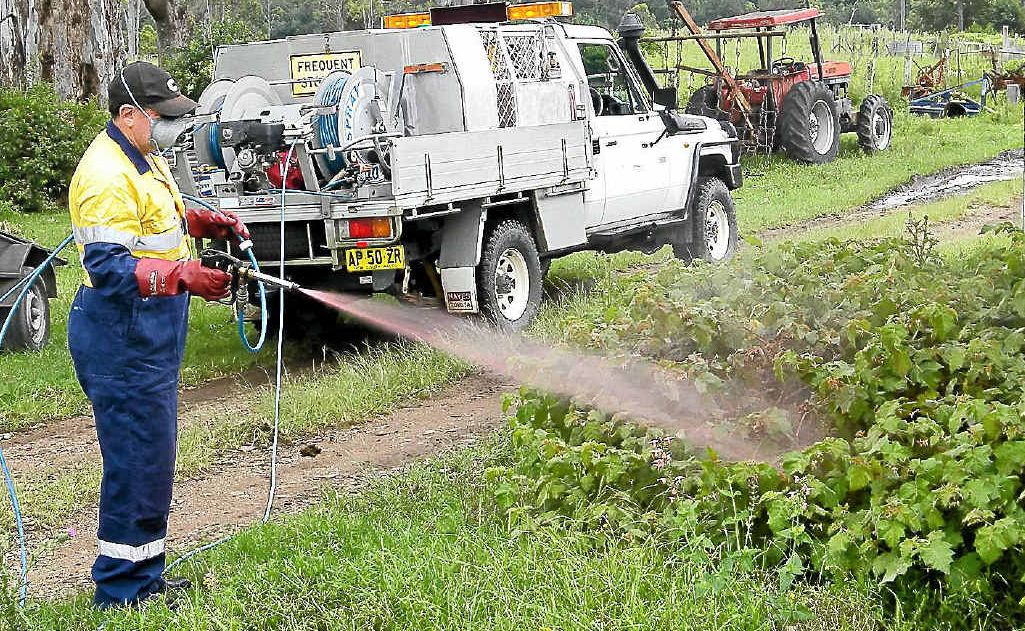 Spraying weed infestations in the paddock. Spraying weed infestations in the paddock.