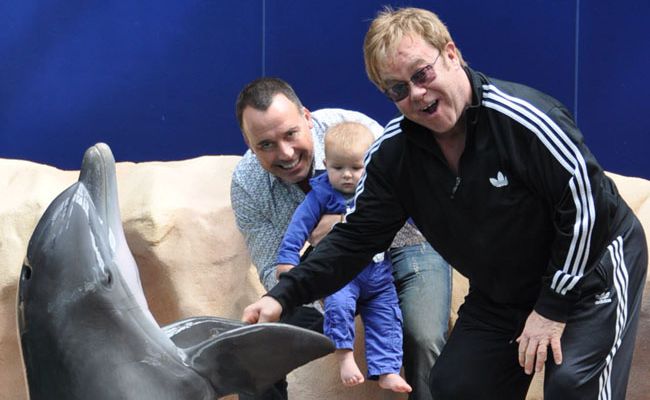 Elton, David and Zachary meet a friendly dolphin. Elton, David and Zachary meet a friendly dolphin.