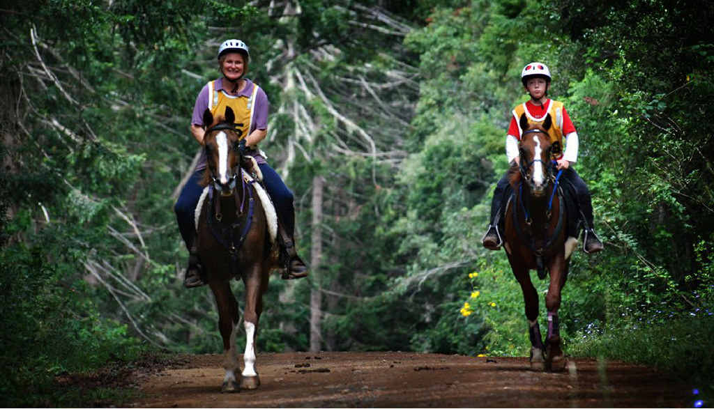 Endurance riding is booming in the Gympie Region. Endurance riding is booming in the Gympie Region.