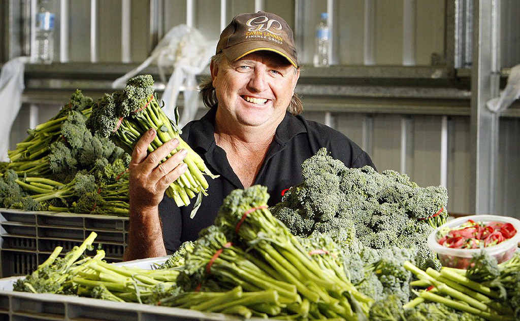 Farmer Tim Linnan at Maragi Farm, Lake Clarendon near Gatton, has had success farming broccolini. Farmer Tim Linnan at Maragi Farm, Lake Clarendon near Gatton, has had success farming broccolini.