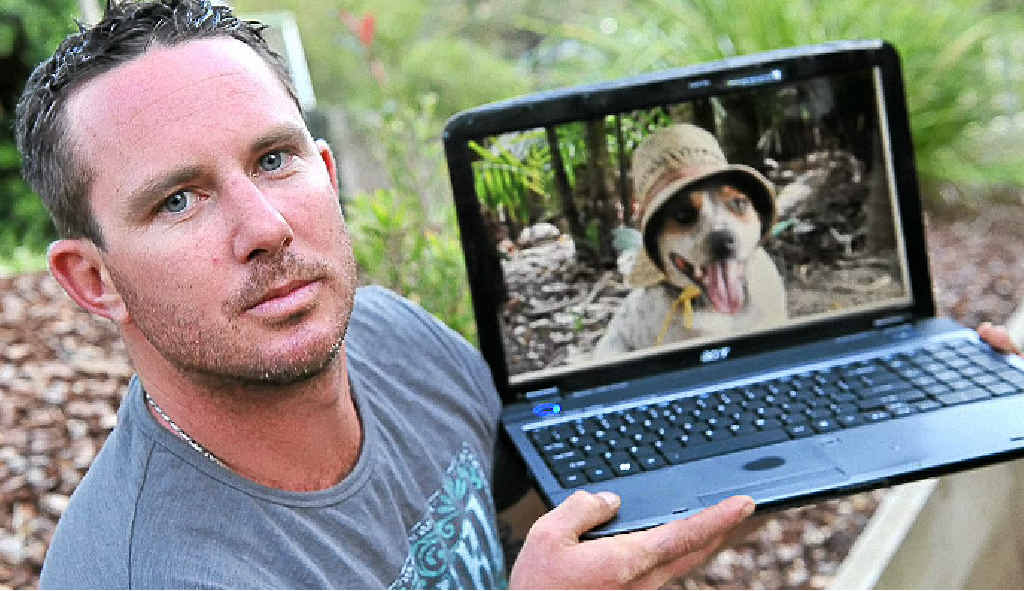 Mark Stanborough is determined to prove his dog Rasta had no part in the alleged attack. Mark Stanborough is determined to prove his dog Rasta had no part in the alleged attack.