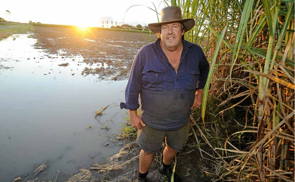 Bundaberg Canegrowers chairman Alan Dingle is looking forward to a bumper crop next year as the 2011 crush comes to a close. Bundaberg Canegrowers chairman Alan Dingle is looking forward to a bumper crop next year as the 2011 crush comes to a close.