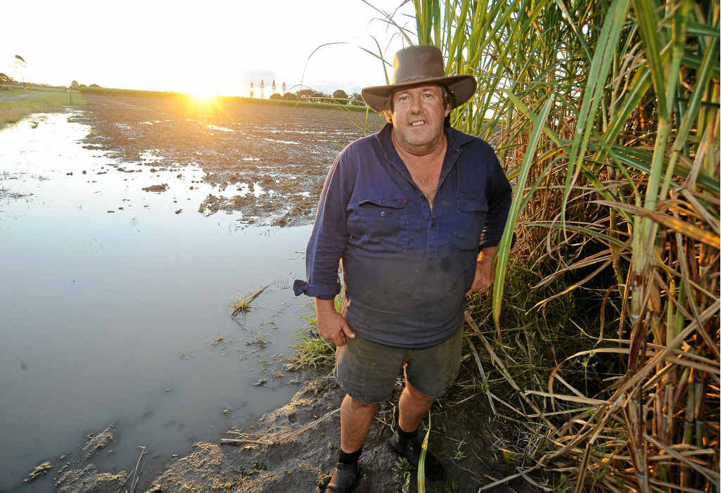 Bundaberg Canegrowers chairman Alan Dingle is looking forward to a bumper crop next year as the 2011 crush comes to a close. Bundaberg Canegrowers chairman Alan Dingle is looking forward to a bumper crop next year as the 2011 crush comes to a close.