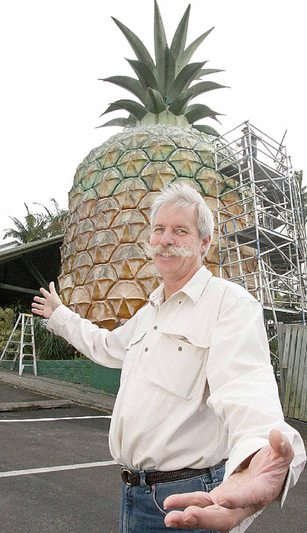 Big Pineapple general manager Paul Ziebarth Big Pineapple general manager Paul Ziebarth
