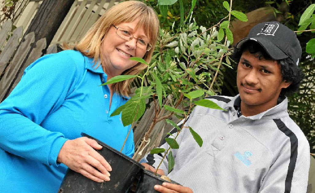 Conservation Volunteers regional manager Pamela MacDonald with volunteer Liam Turner are busy preparing for National Tree Day to be held this Sunday. Conservation Volunteers regional manager Pamela MacDonald with volunteer Liam Turner are busy preparing for National Tree Day to be held this Sunday.