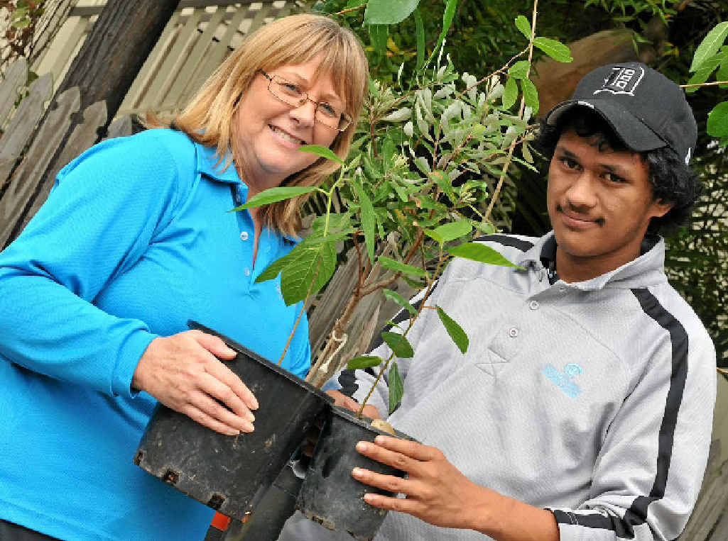 Conservation Volunteers regional manager Pamela MacDonald with volunteer Liam Turner are busy preparing for National Tree Day to be held this Sunday. Conservation Volunteers regional manager Pamela MacDonald with volunteer Liam Turner are busy preparing for National Tree Day to be held this Sunday.