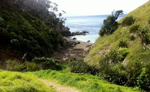 The Coromandel region. The Coromandel region.