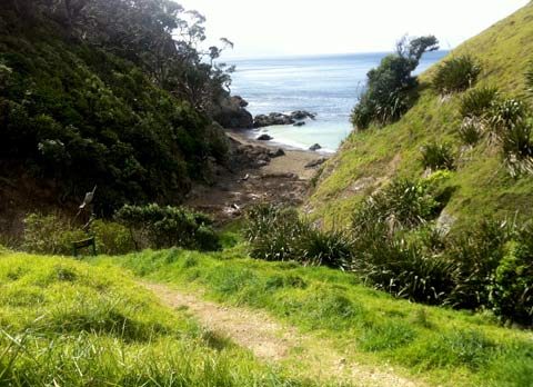 The Coromandel region. The Coromandel region.