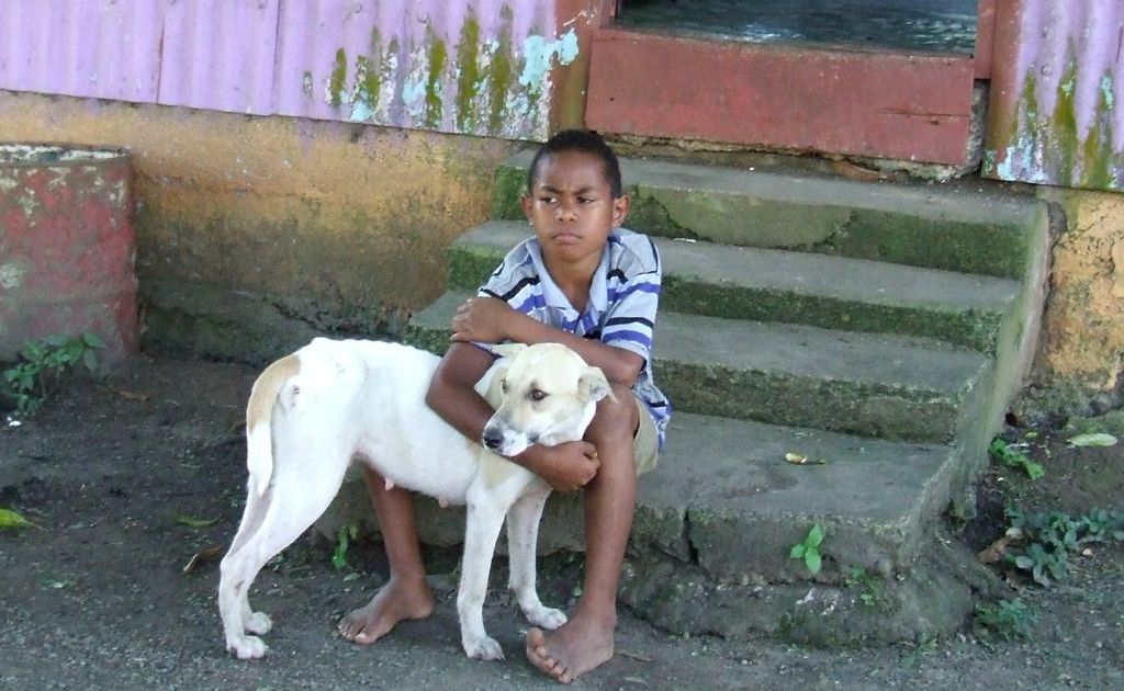 Joy is now the face of the Sigatoka River Dog Mission. Joy is now the face of the Sigatoka River Dog Mission.