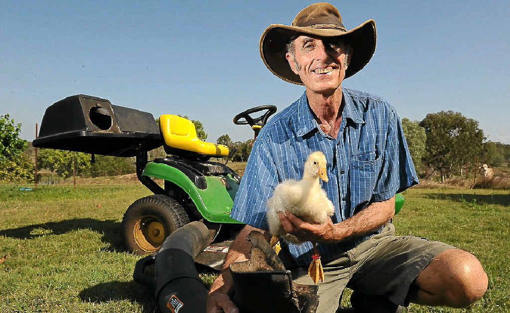 George Cameron with the gosling that was rescued after being trapped for six days in the grass chute of a lawnmower. George Cameron with the gosling that was rescued after being trapped for six days in the grass chute of a lawnmower.