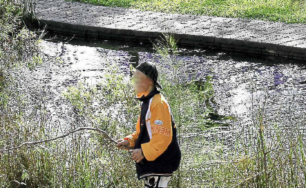 Two boys at See Park chased a terrified mother duck and her four ducklings with large sticks. Two boys at See Park chased a terrified mother duck and her four ducklings with large sticks.