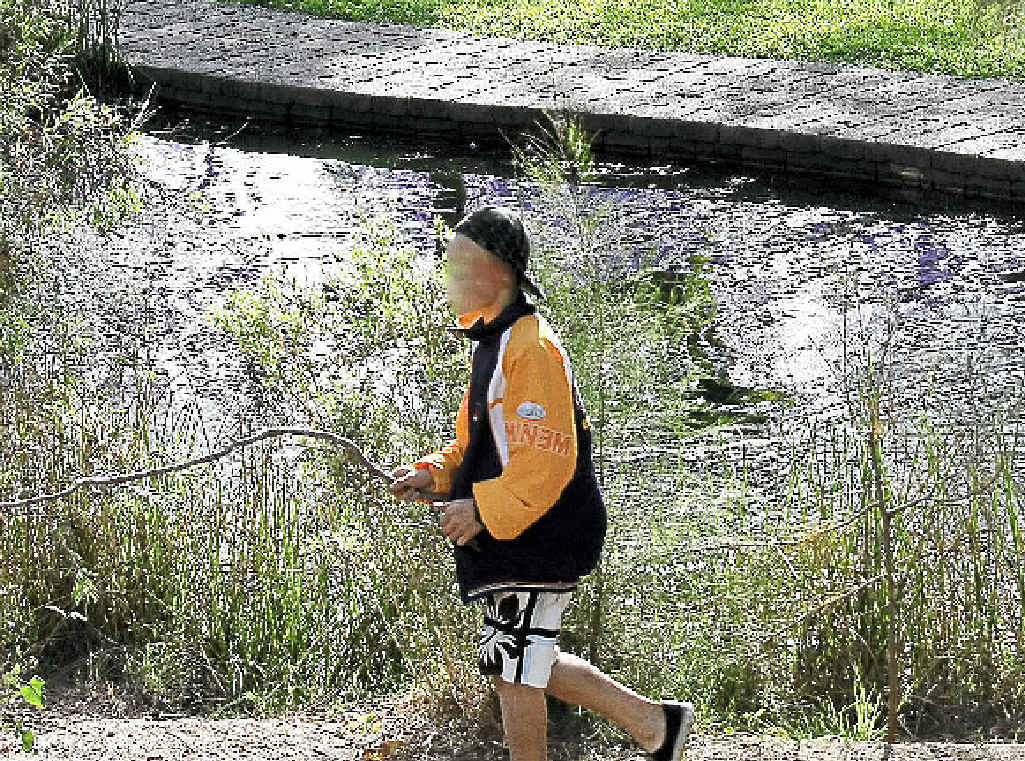 Two boys at See Park chased a terrified mother duck and her four ducklings with large sticks. Two boys at See Park chased a terrified mother duck and her four ducklings with large sticks.
