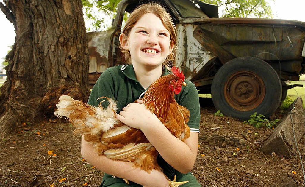 Tanika Hunter, 8, holds onto a chicken that is laying mysteriously yolkless half sized eggs. Tanika Hunter, 8, holds onto a chicken that is laying mysteriously yolkless half sized eggs.
