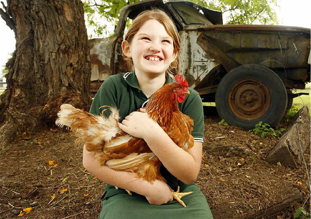 Tanika Hunter, 8, holds onto a chicken that is laying mysteriously yolkless half sized eggs. Tanika Hunter, 8, holds onto a chicken that is laying mysteriously yolkless half sized eggs.
