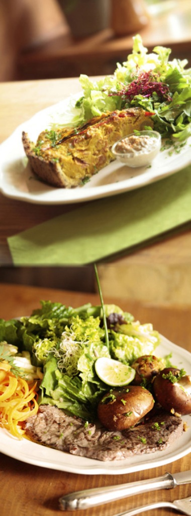 The paleolithic cuisine The paleolithic cuisine