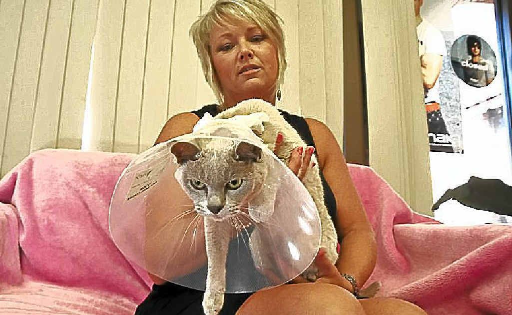 Kim Baker with a recovering Mia. Kim Baker with a recovering Mia.