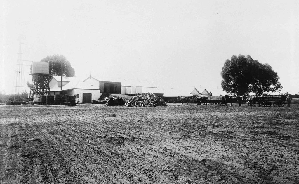 Early work on Houghton’s Swan Valley property in days before cars and trucks.
Early work on Houghton’s Swan Valley property in days before cars and trucks.