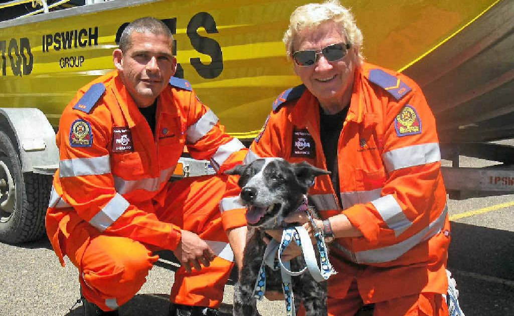 Marburg SES volunteers Shane Eather and Pam Smith with lucky Lucy the cattle dog who they snatched back from death’s door after her stranding on a cliff face for weeks. Marburg SES volunteers Shane Eather and Pam Smith with lucky Lucy the cattle dog who they snatched back from death’s door after her stranding on a cliff face for weeks.
