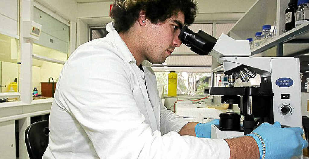 A new treatment is being investigated in the fight against non-melanoma cancers. A new treatment is being investigated in the fight against non-melanoma cancers.