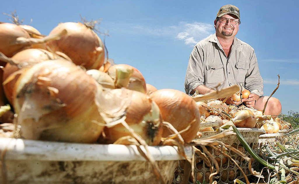 Kalfresh managing director Robert Hinrichsen with the Queensland onion which is getting a plug in a national advertising campaign encouraging people to buy local produce. Kalfresh managing director Robert Hinrichsen with the Queensland onion which is getting a plug in a national advertising campaign encouraging people to buy local produce.