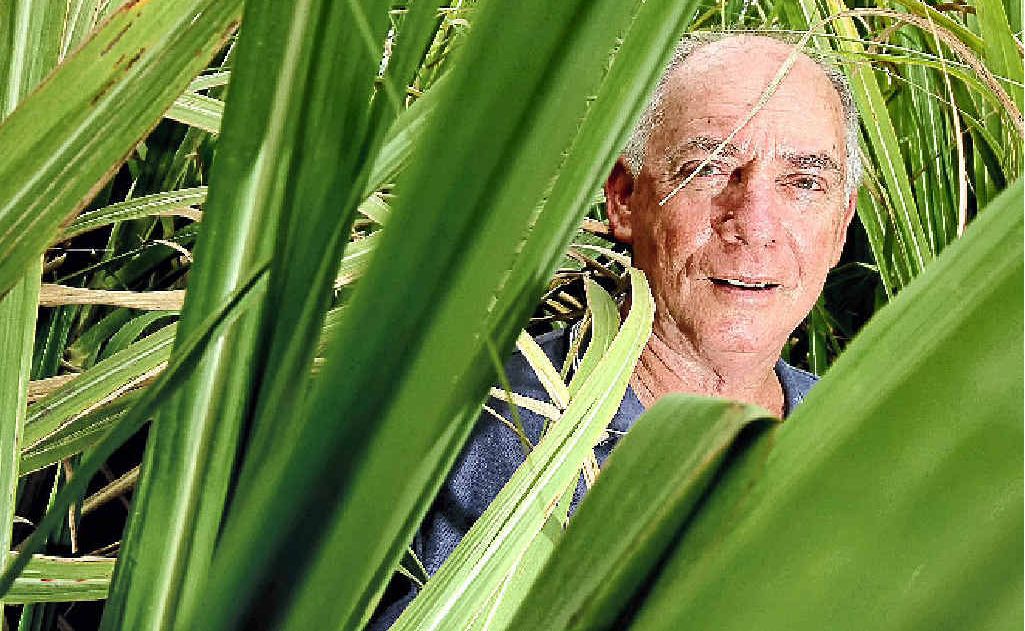 Tweed canegrowers’ president Robert Quirk at his cane farm at Stott’s Creek. Tweed canegrowers’ president Robert Quirk at his cane farm at Stott’s Creek.