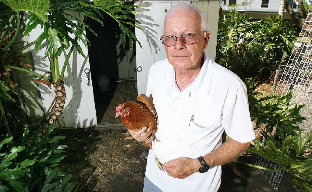 Graham Hanson with his last remaining chicken after seven had been stolen from his property over the last week. Graham Hanson with his last remaining chicken after seven had been stolen from his property over the last week.