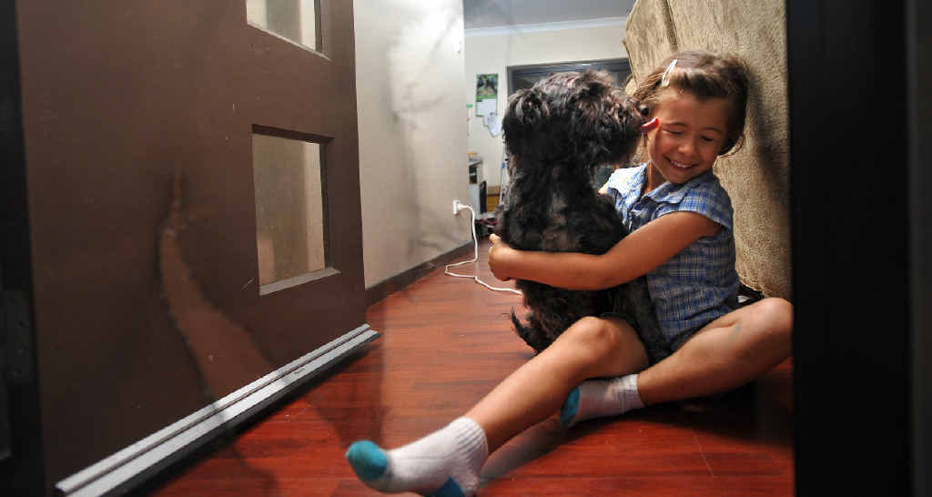 Kelly Price’s daughter Tori and the family dog Harley, with one of the many flyscreen doors Harley has torn when scared by storms. Kelly Price’s daughter Tori and the family dog Harley, with one of the many flyscreen doors Harley has torn when scared by storms.