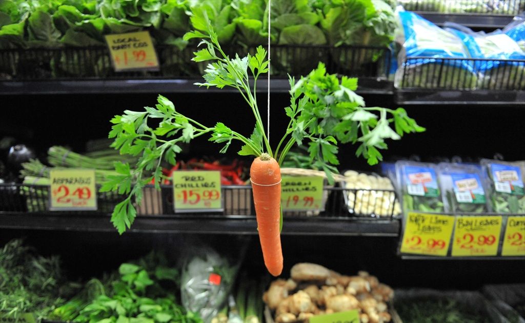 Sunshine Coast Council is dangling plenty of carrots in an effort to attract business to the region and to help existing businesses grow. Sunshine Coast Council is dangling plenty of carrots in an effort to attract business to the region and to help existing businesses grow.